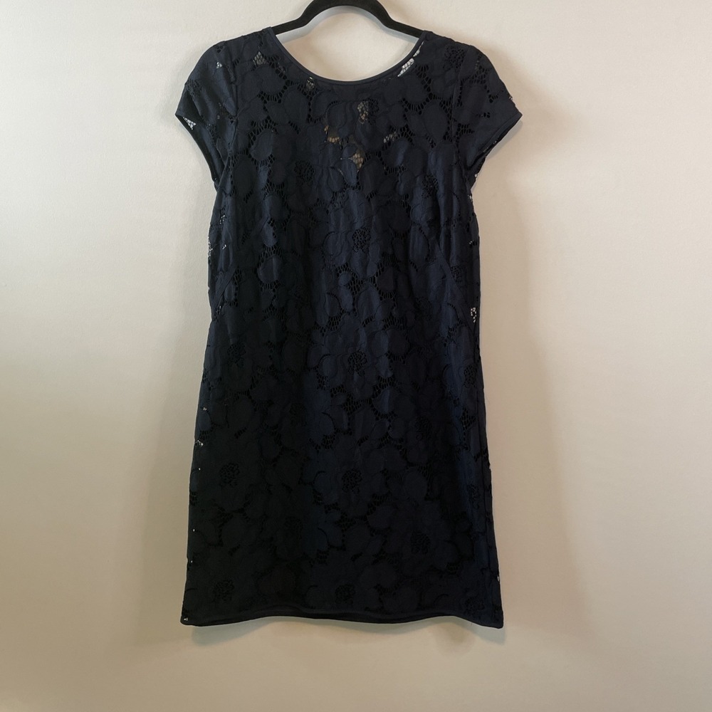 LOFT Petite 8P Navy Lace Shift Dress Short Sleeve Cocktail Career‎